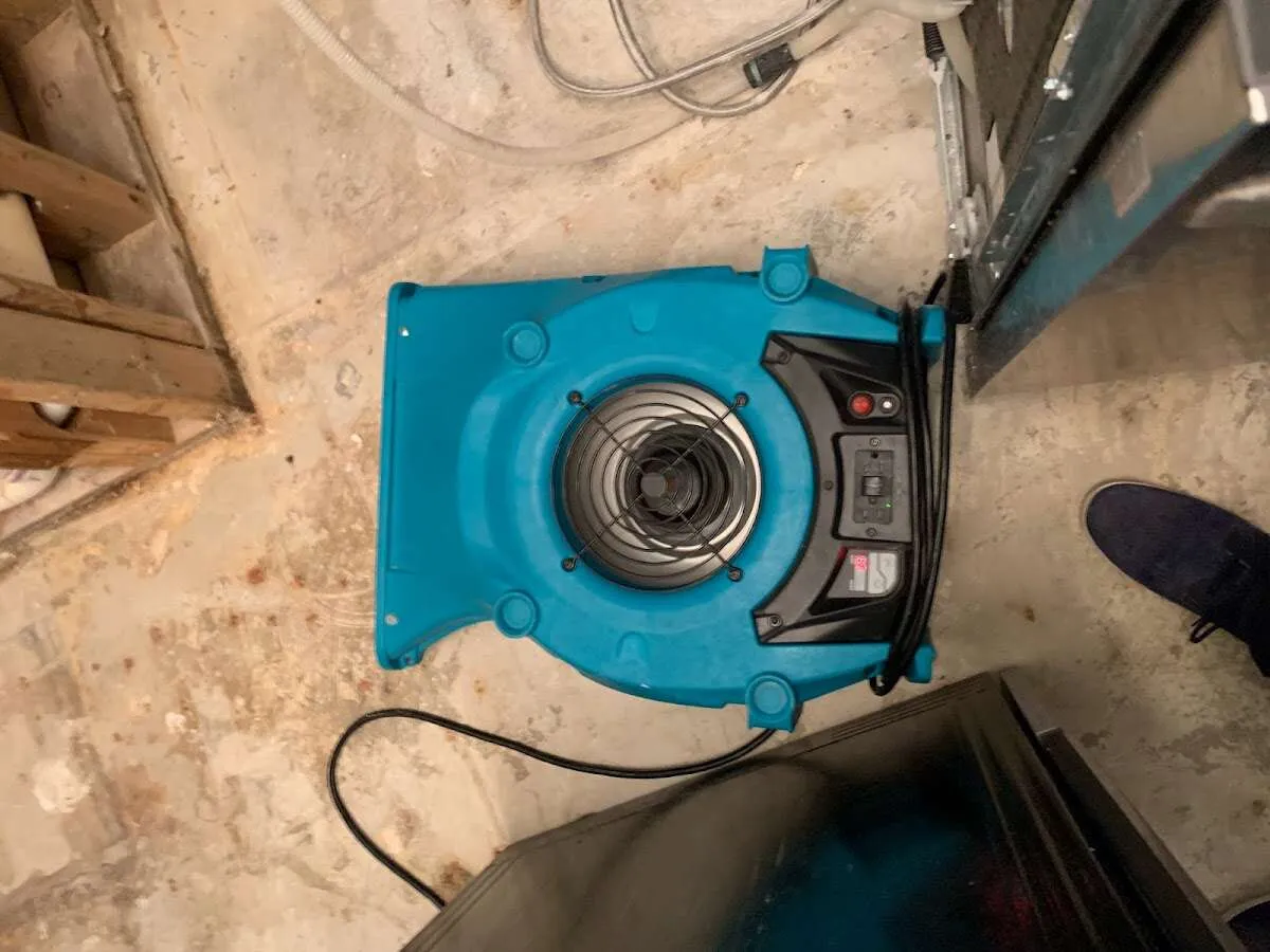 Air mover drying equipment for Mold Remediation & Removal in Ham Lake